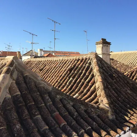 Apartment La Canopee 3 Suites Tavira